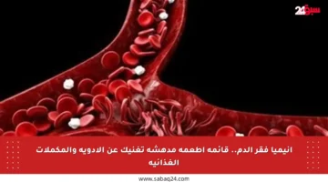 أنيميا فقر الدم.. قائمة أطعمة مدهشة تغنيك عن الأدوية والمكملات الغذائية